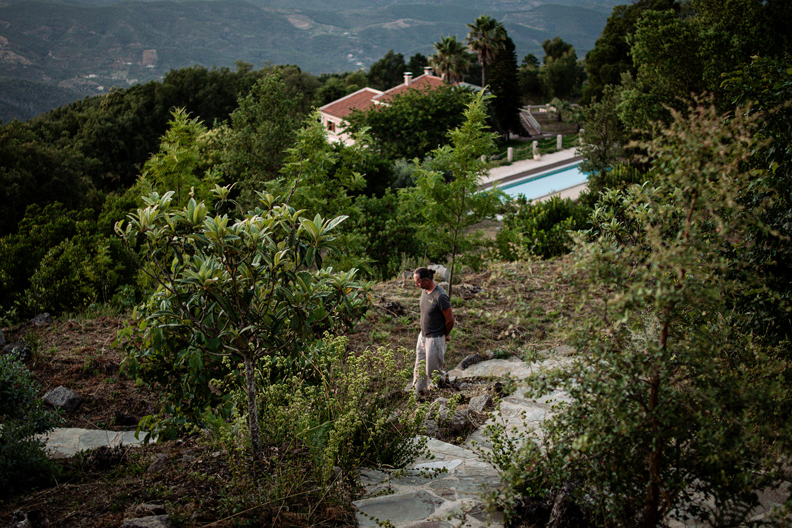 Aerial view of Bodhi Bhavan nestled in the Monchique hills with pool and mountain backdrop